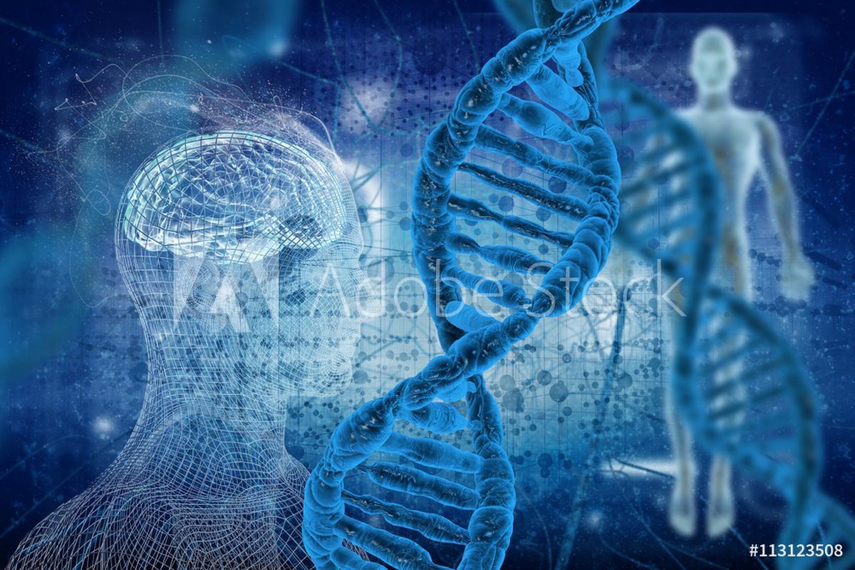 Stem Cell Therapy