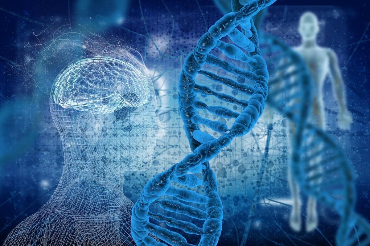 The body as an integrated machine